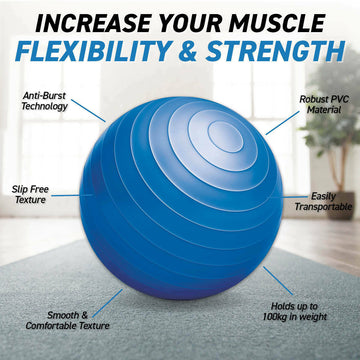Sas Sports Exercise Gym Ball 65cm - Blue